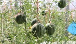 五一爆料最新吃瓜视频,最新视频曝光惊人内幕