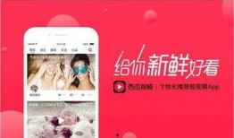 猛料爆料西瓜视频,西瓜视频背后的惊人内幕