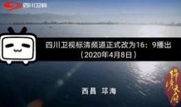 四川卫视新闻爆料,揭秘某事件背后真相
